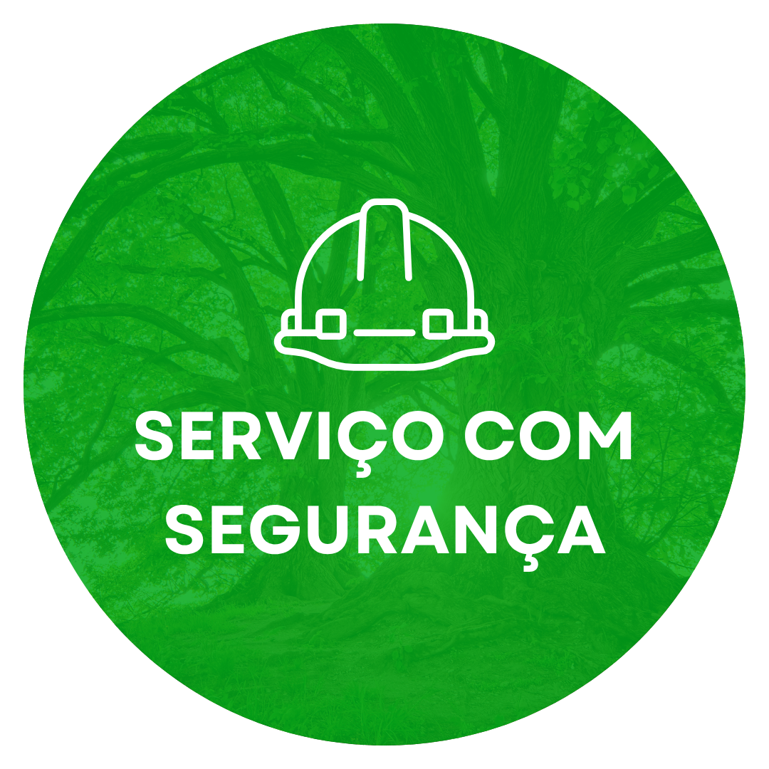 Corte e Poda de Árvores em Curitiba e Região Metropolitana