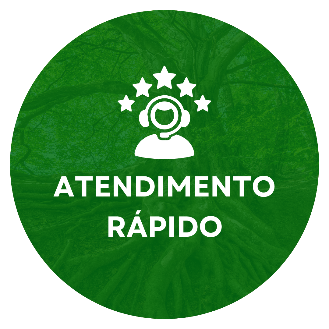 Corte e Poda de Árvores em Curitiba e Região Metropolitana