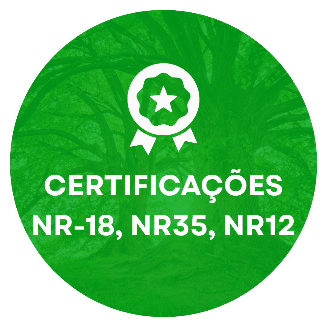 Corte e Poda de Árvores em Curitiba e Região Metropolitana